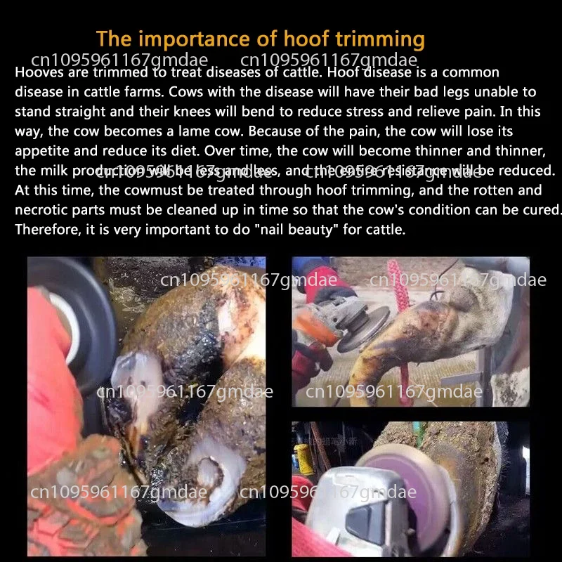 Cattle hoof trimmer grinding machine material 7-head grinding knife durable