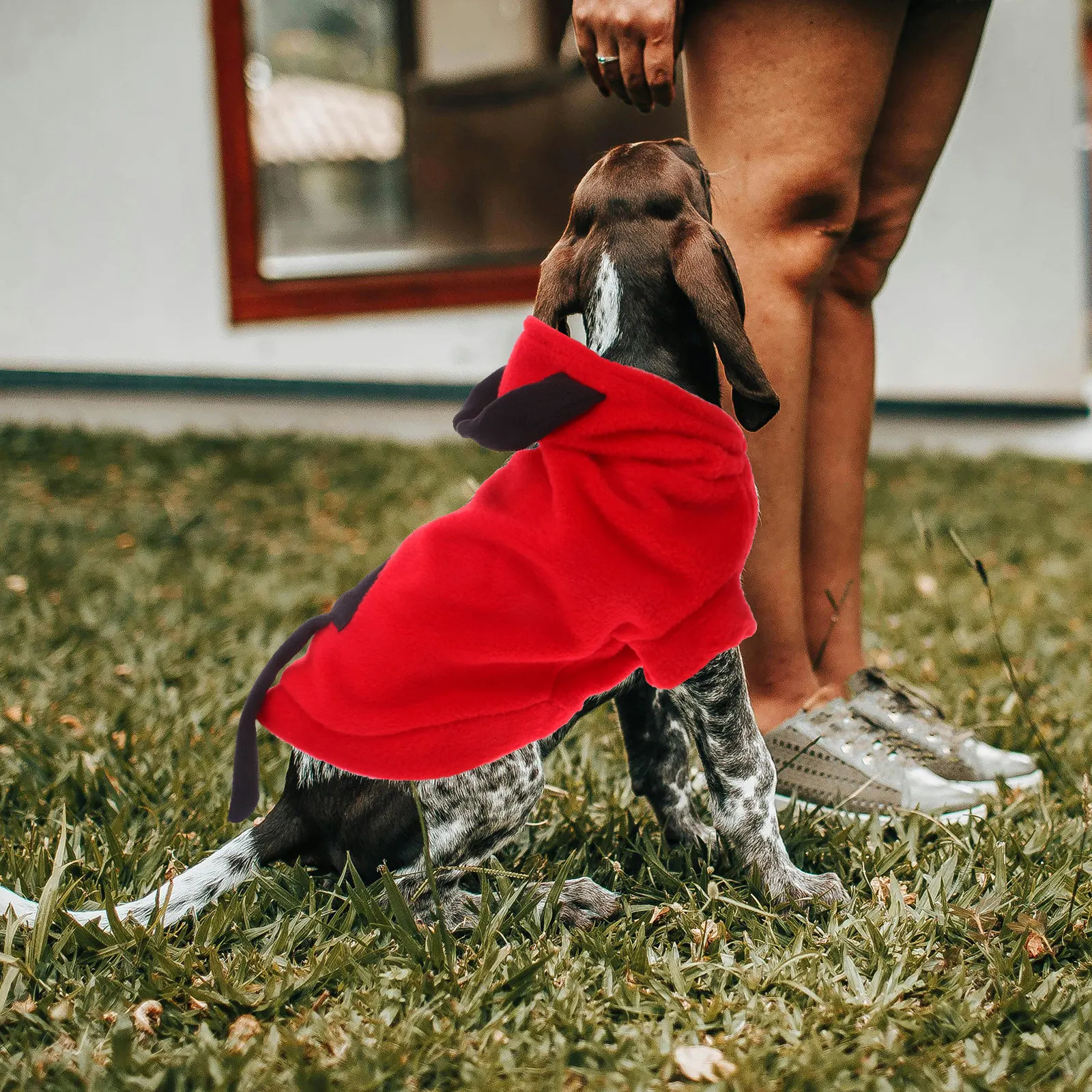 Halloween Pet Clothes Stereoscopic Devil Costume for Small Dogs Comfortable Easy to Put on Perfect for Parties