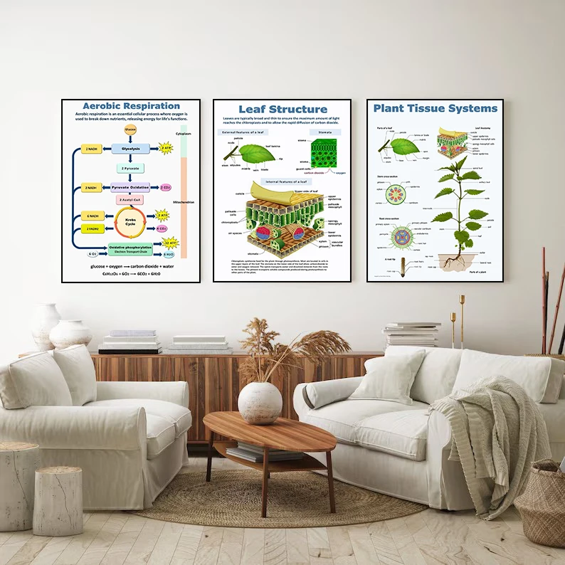 Plant Science Biology Plant Photosynthesis Pictures Modern Art Home Classroom Decoration Posters and Prints Cuadros