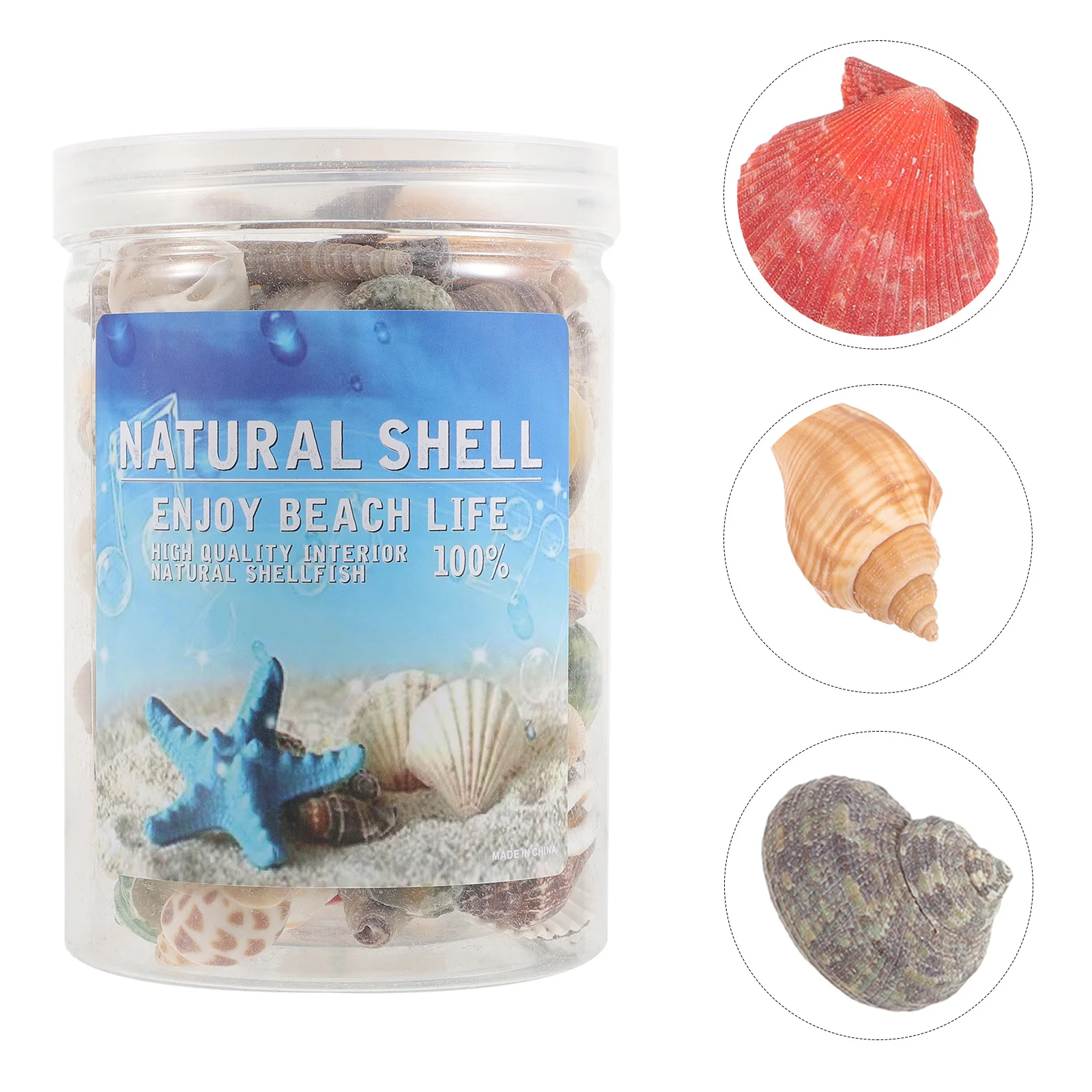 

1 Box Natural Conch Decorations Diy Craft Fish Tank Accessories Exquisite Shells Home Beach Party Ornament Decorative Adorn