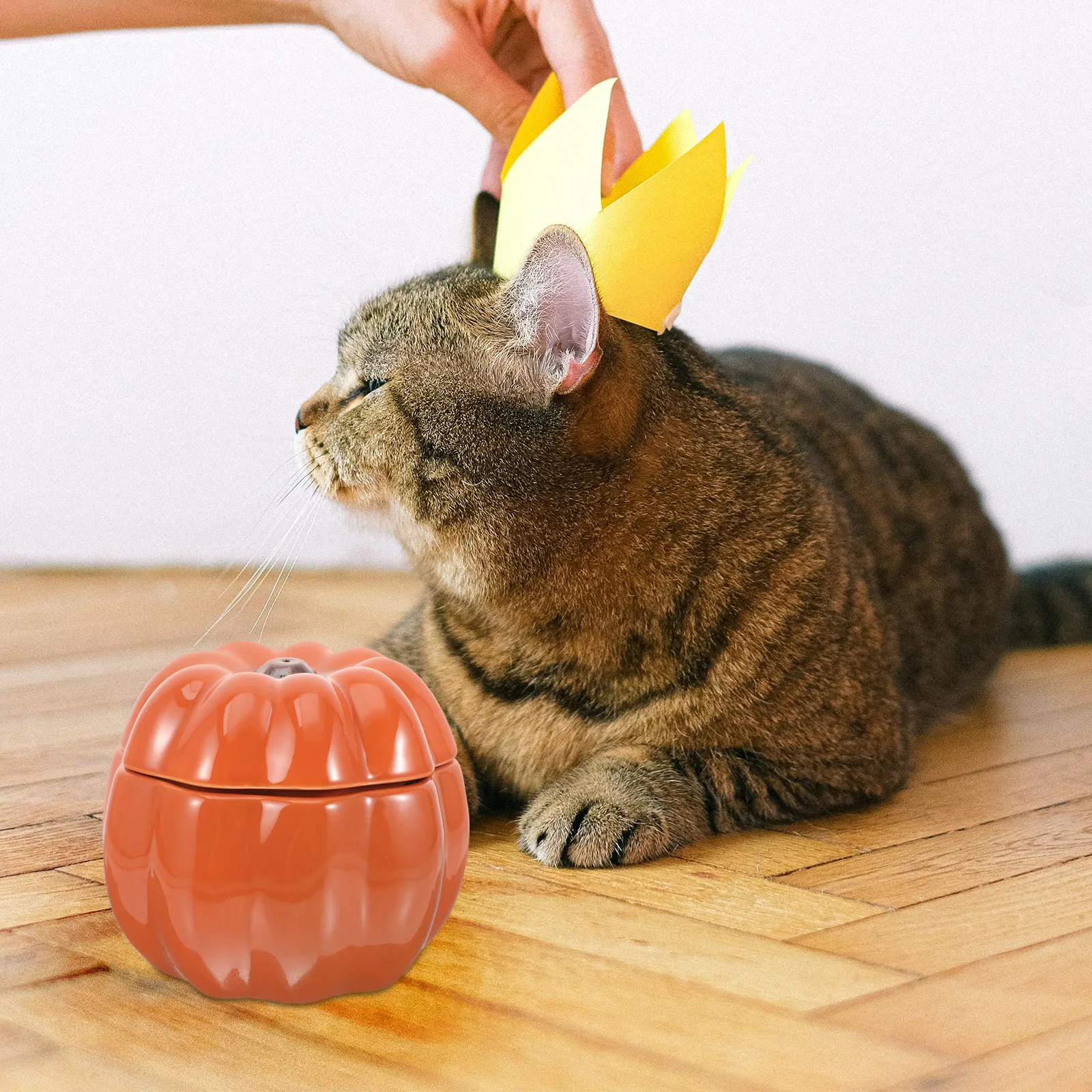 

bowls for food cat feeder cat feeding bowl pet food container practical cat bowl pumpkin dog bowl dog food holder