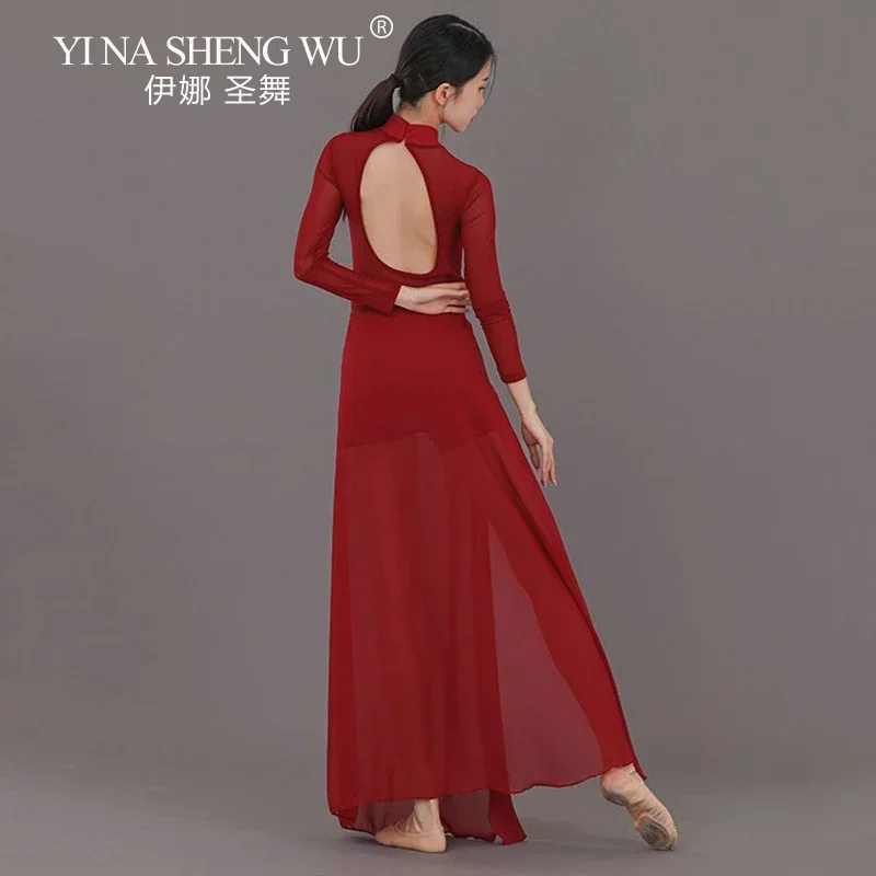 

Women Classical Chinese Folk Dance Performance Costume Set Art Exam Practice Long Sleeve High Slit Long Skirt Dance Clothes