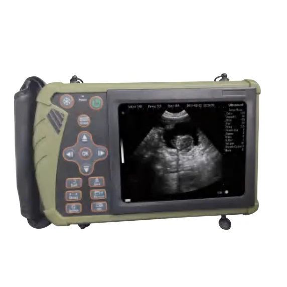 Mechanical Veterinary Pregnancy Ultrasound Diagnostic System Scanner Machine Animal VET Color Mode for animal