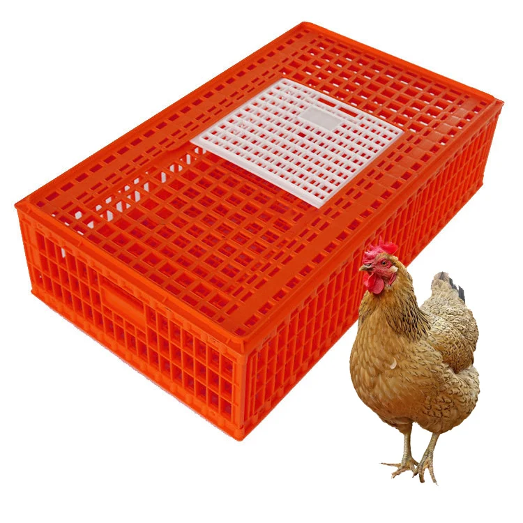 

Plastic Transport Crate Big Size Poultry Carrier Box Chicken Transport Cage