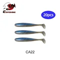 CA22