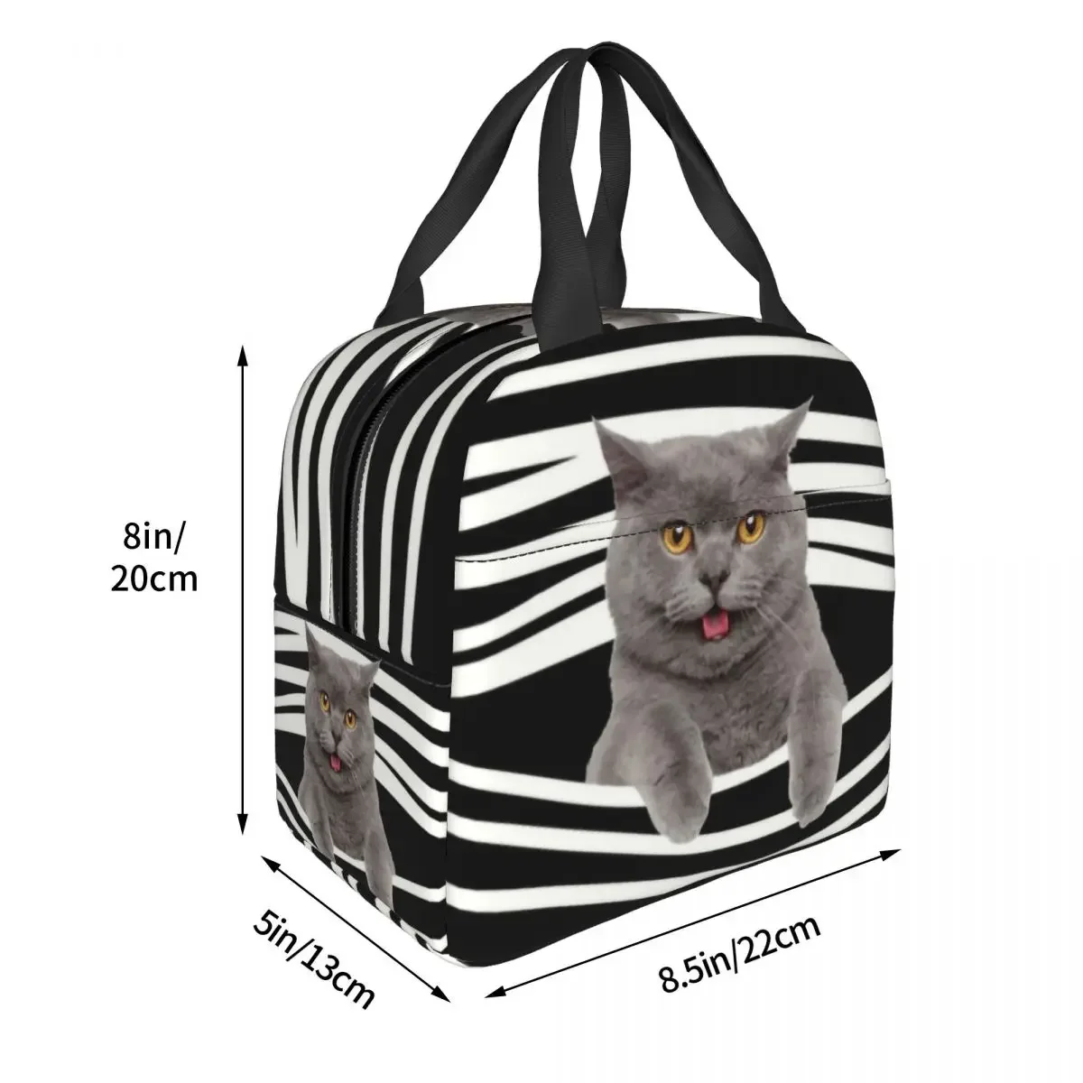 Britânico shorthair gato listras térmico isolado almoço saco feminino portátil almoço tote para trabalho escolar comida bento caixa