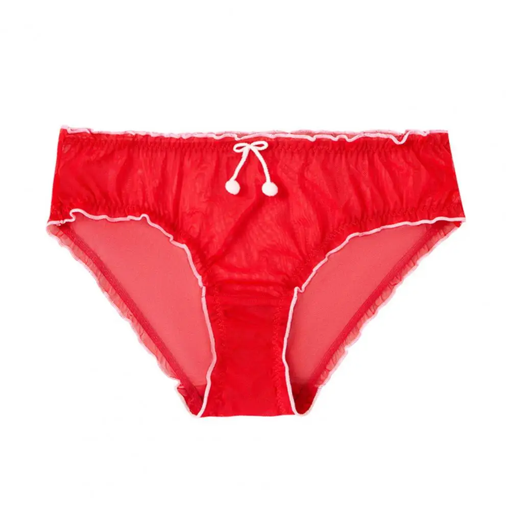 Women's Underwear Sexy Sheer Mesh Underwear for Women Seamless Low Rise Panties Breathable Soft See-through Briefs in Red Women