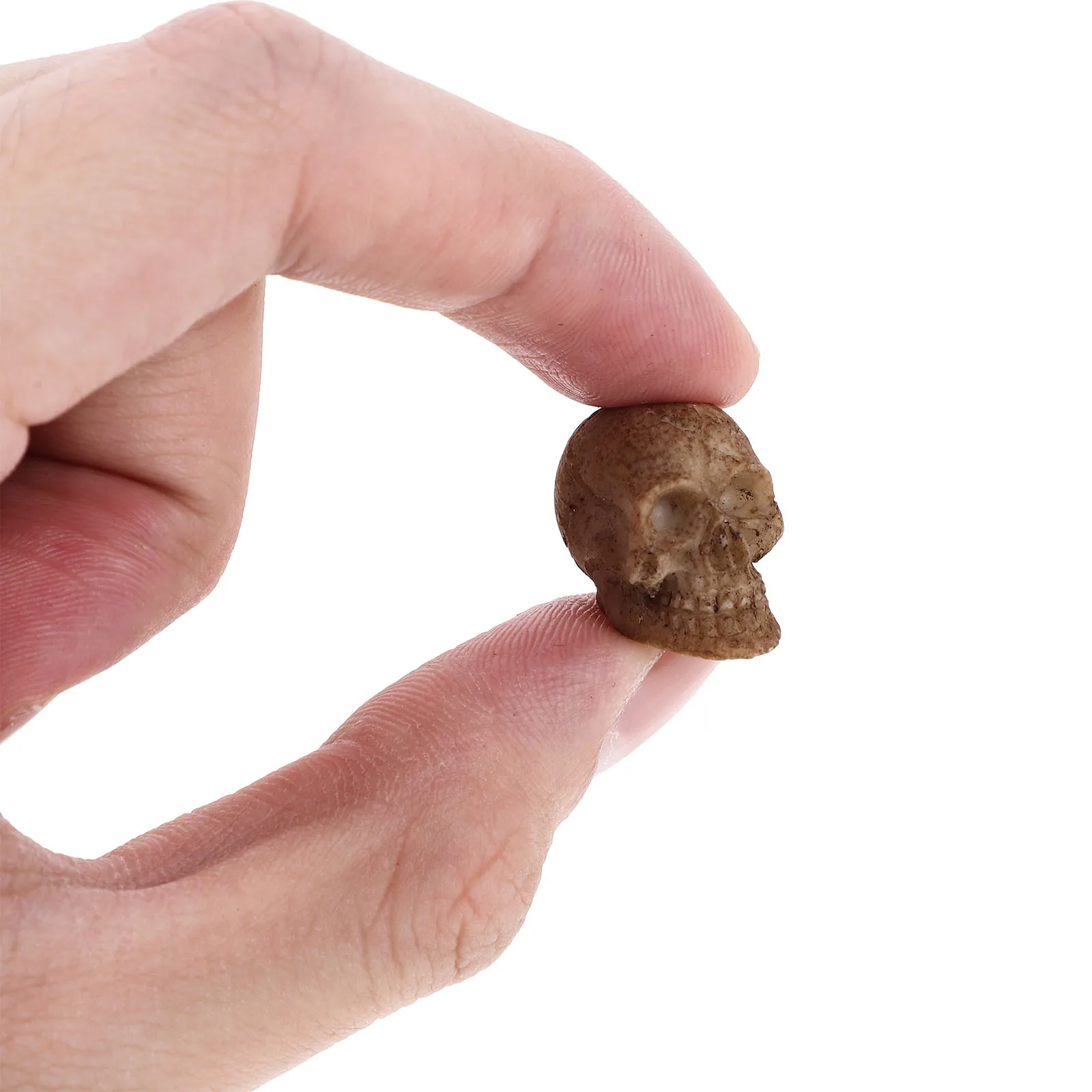 

20Pcs Halloween Skull Decoration Small Lifelike Resin Skull Heads Spooky Party Layout Haunted Props Skulls Decor