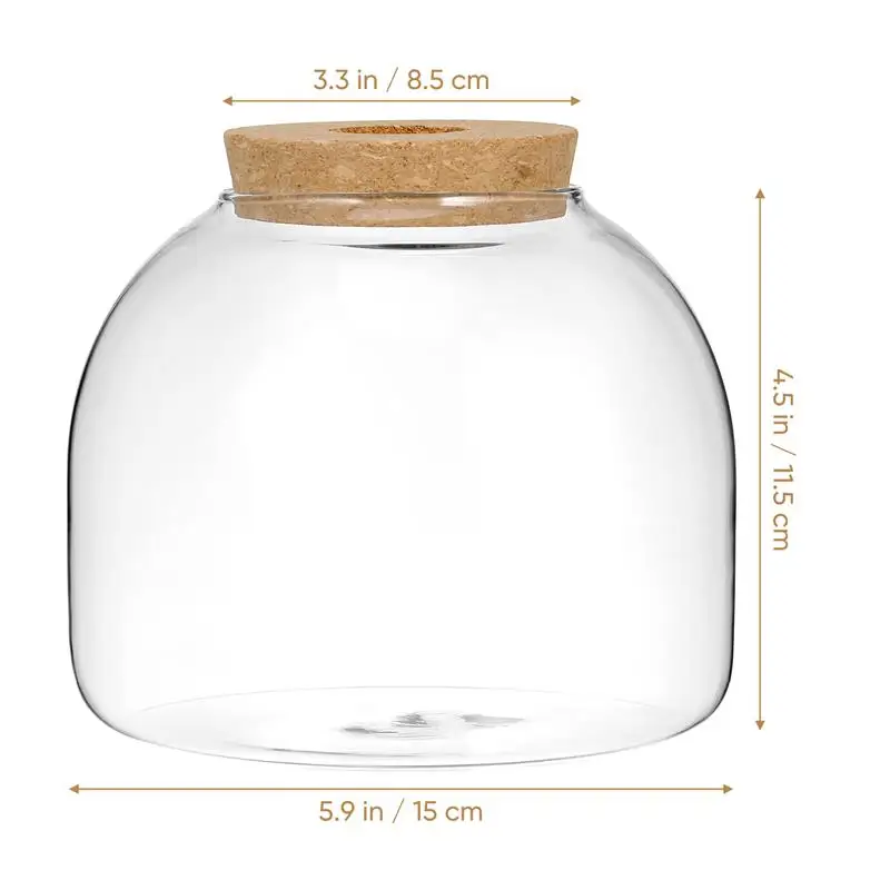 Cork Glass Bottle Plant Terrarium Large Landscape Flower Pots Ecosystem Small Container Bracket Cookie Jar Office