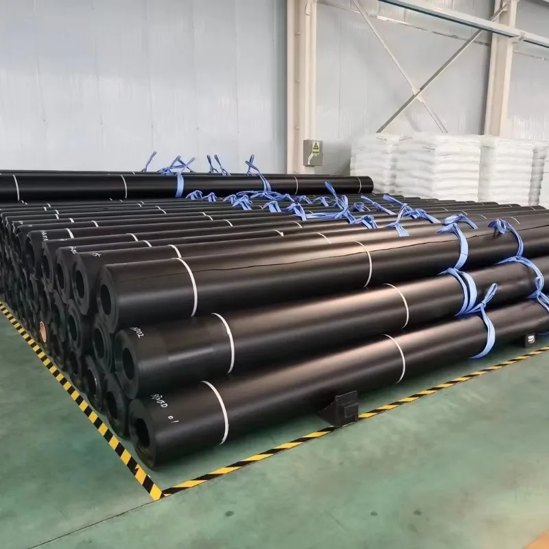 Wholesale HDPE Geomembrane Pond Liner Customized for Fish Farm Dam Canal Landfill Mining and Water Storage Use