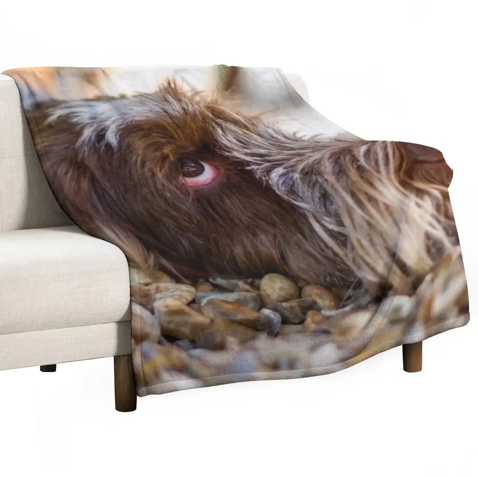 

Looking up Spinone Throw Blanket For Sofa Thin heavy to sleep Polar Sofa Quilt Blankets