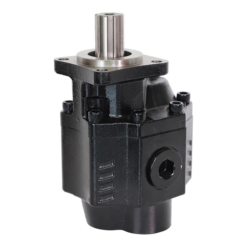 

Satisfaction Guarantee ISO 4 Holes High Pressure Cast Iron Gear Pump for Hydraulic Lift System