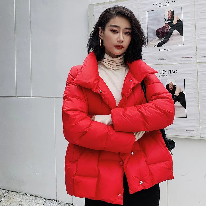 Women's Lightweight Short New Down Jacket Loose Fit Outerwear Stand-up Collar Fashion Women's Clothing Stylish Trendy