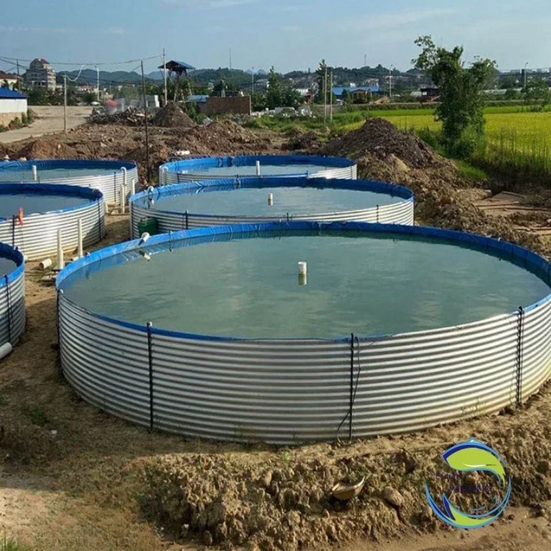 

Shrimp Tilapia Fish Farming Equipment Aquaculture Equipment Galvanized Tarpaulin Fish Pond Tank For Fish Farming