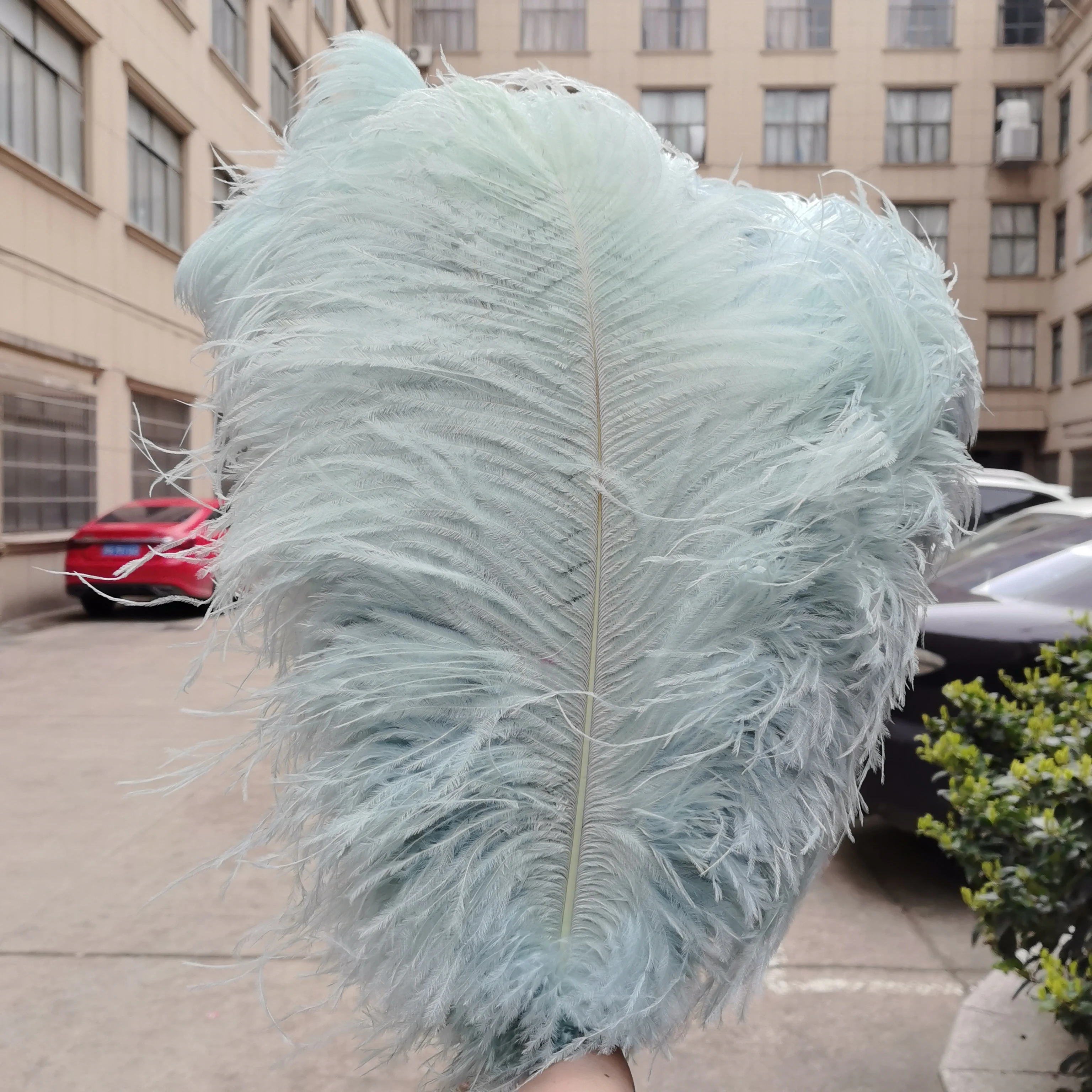 15-60cm Natural Ostrich Feathers | High-Quality for DIY, Wedding, Party, Stage, Costume & Home Decor | Various Colors Available