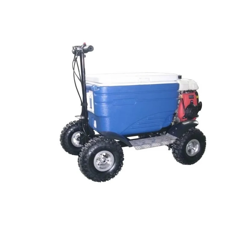 Cheap price electric ride cool outdoor camping using cool scooter