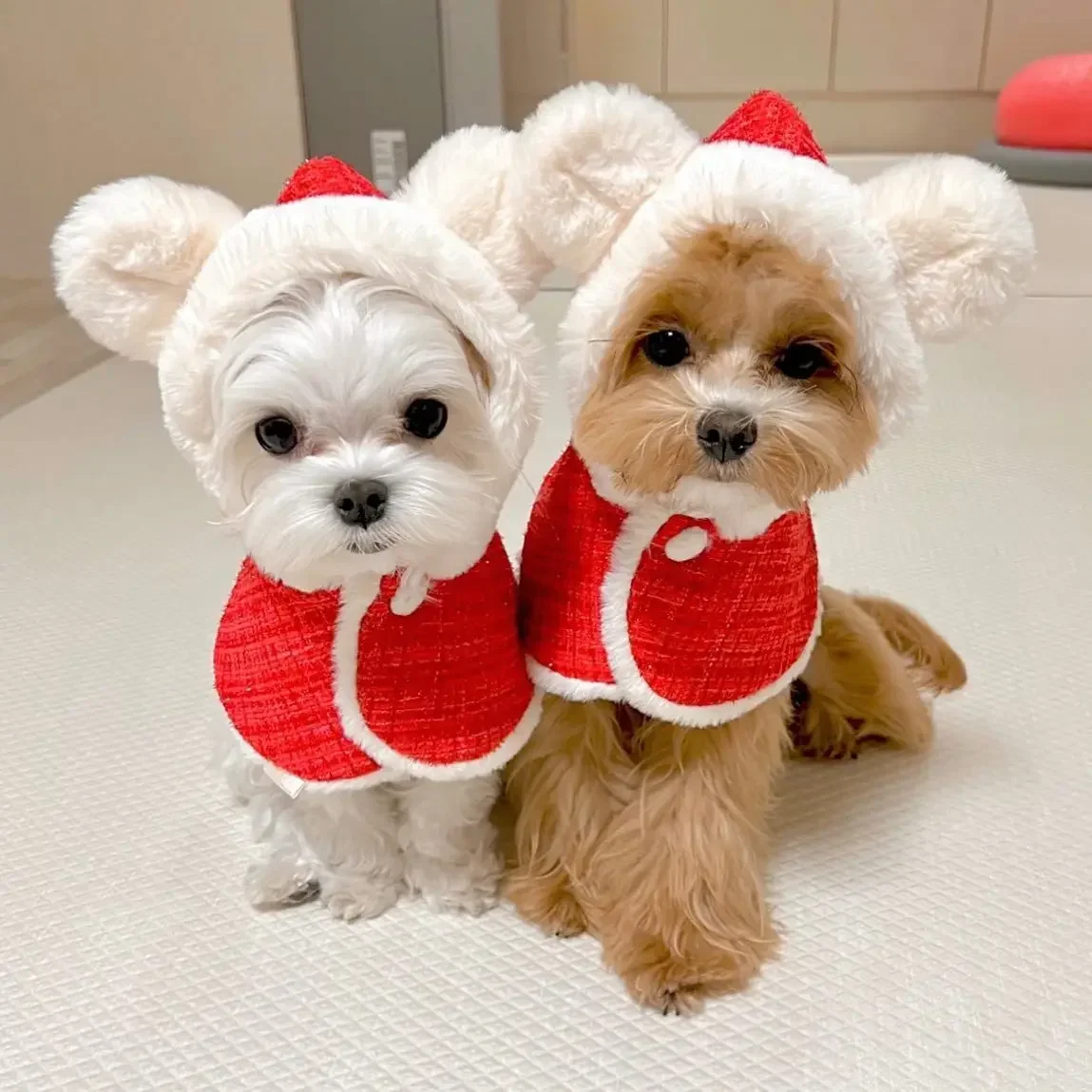 INS Christmas Pet Cloak Ears Hooded Bib Cape Warmth Maltese New Year Dog Party Clothes Pet Coat Fashion Dog Design Dog Clothes