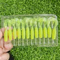GD61 12PCS