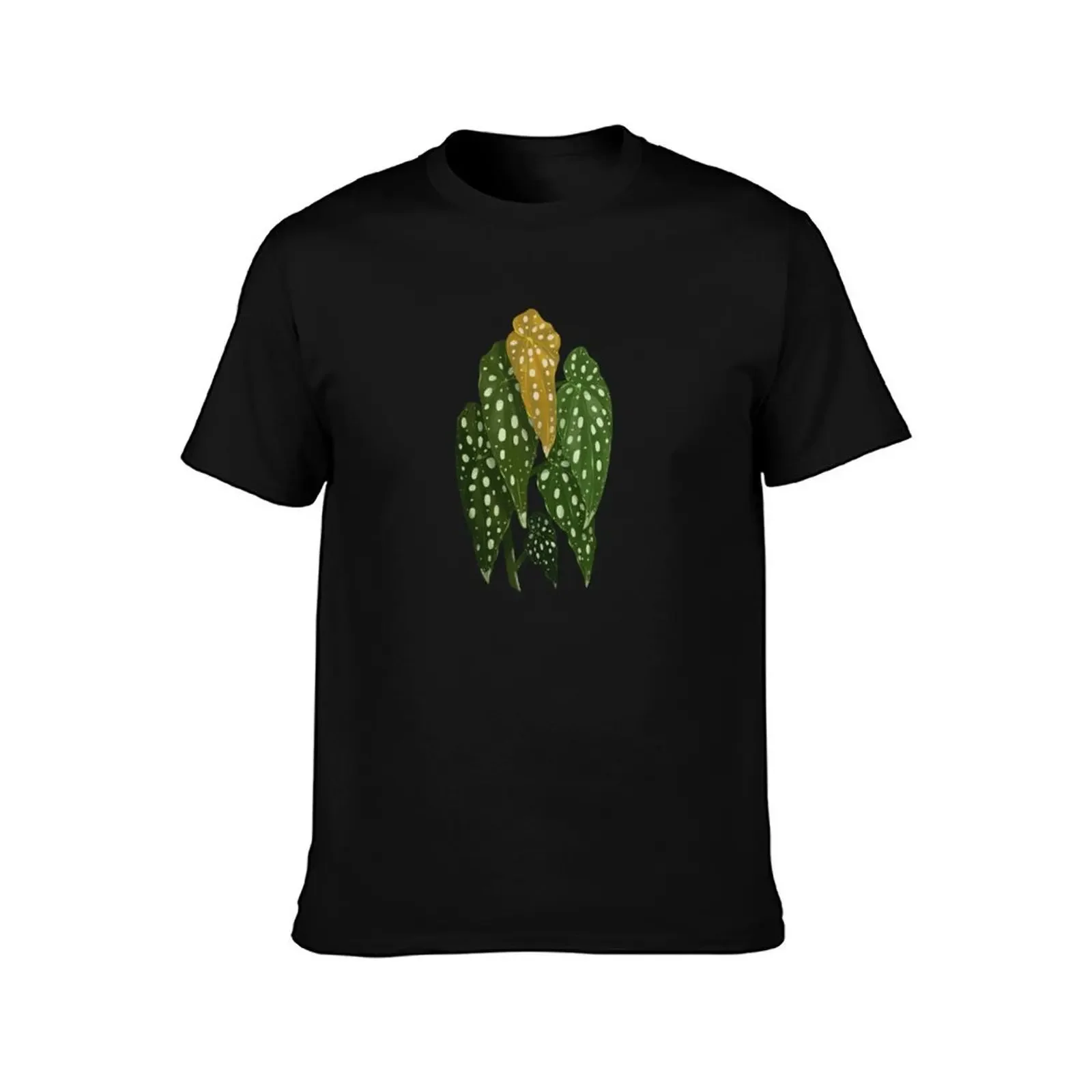 Begonia Maculata Wightii T-Shirt oversizeds Short sleeve tee quick drying cheap stuff black t shirts for men