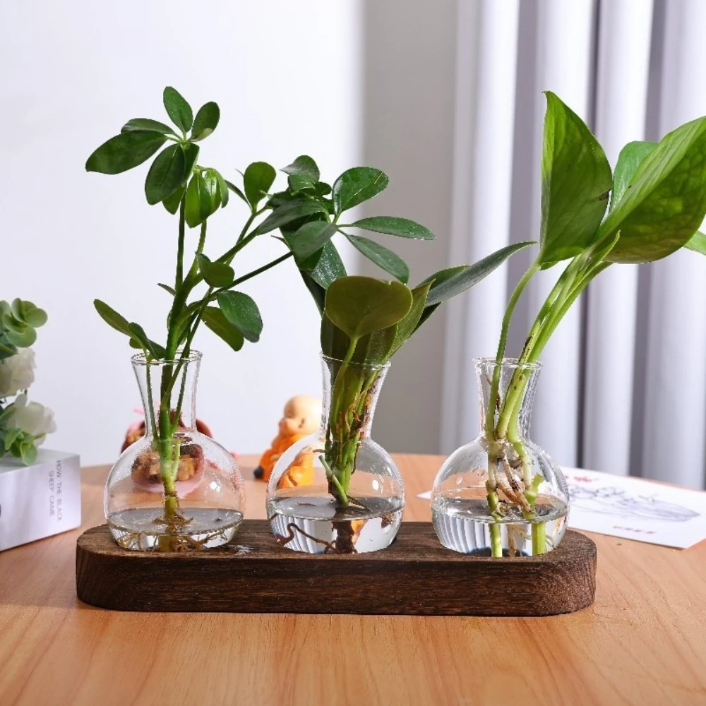 Modern Transparent Hydroponic Glass Vase with Wooden Tray Indoor Propagation Station Table Centerpiece Home Office Decoration