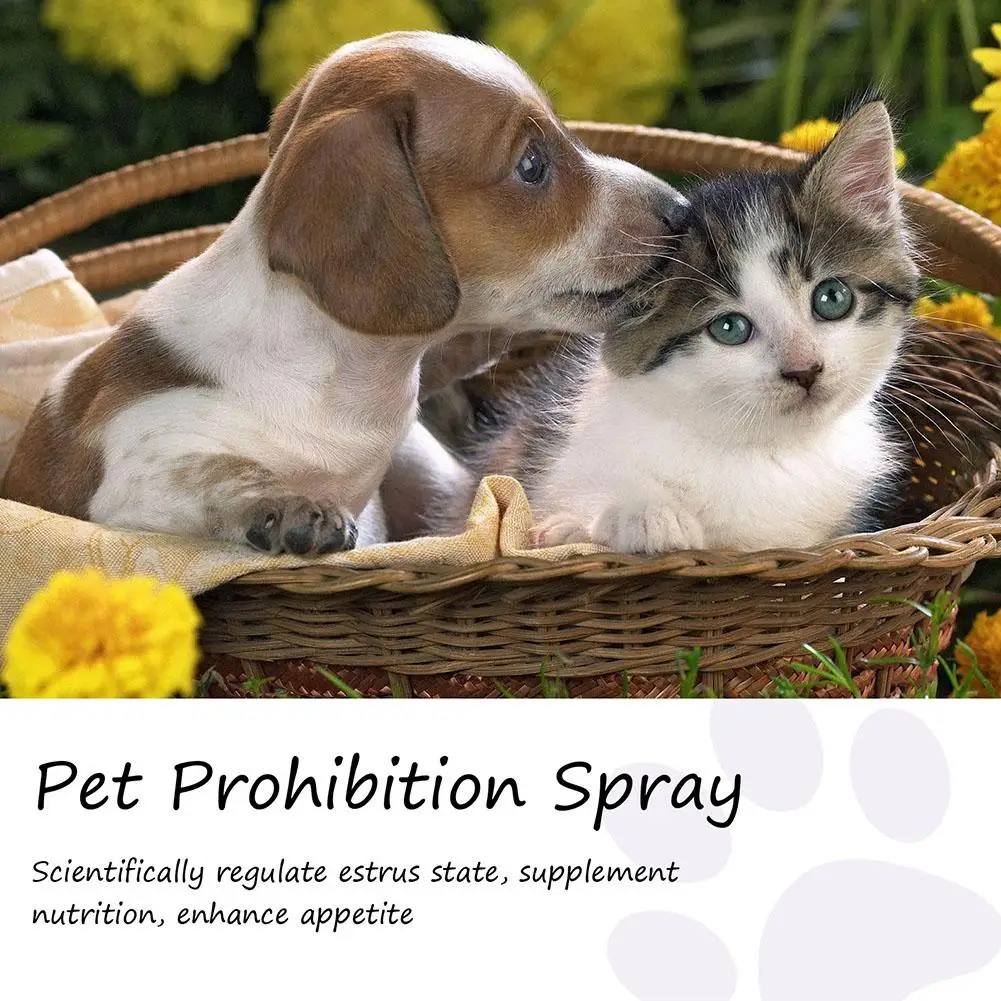 Spray apaisant pour animaux de compagnie, prévention du hurlement, vaporisateur anti-anlande, apaisant de l'humeur pour chat et chien, fournitures d'interdiction, T7D5, 50ml