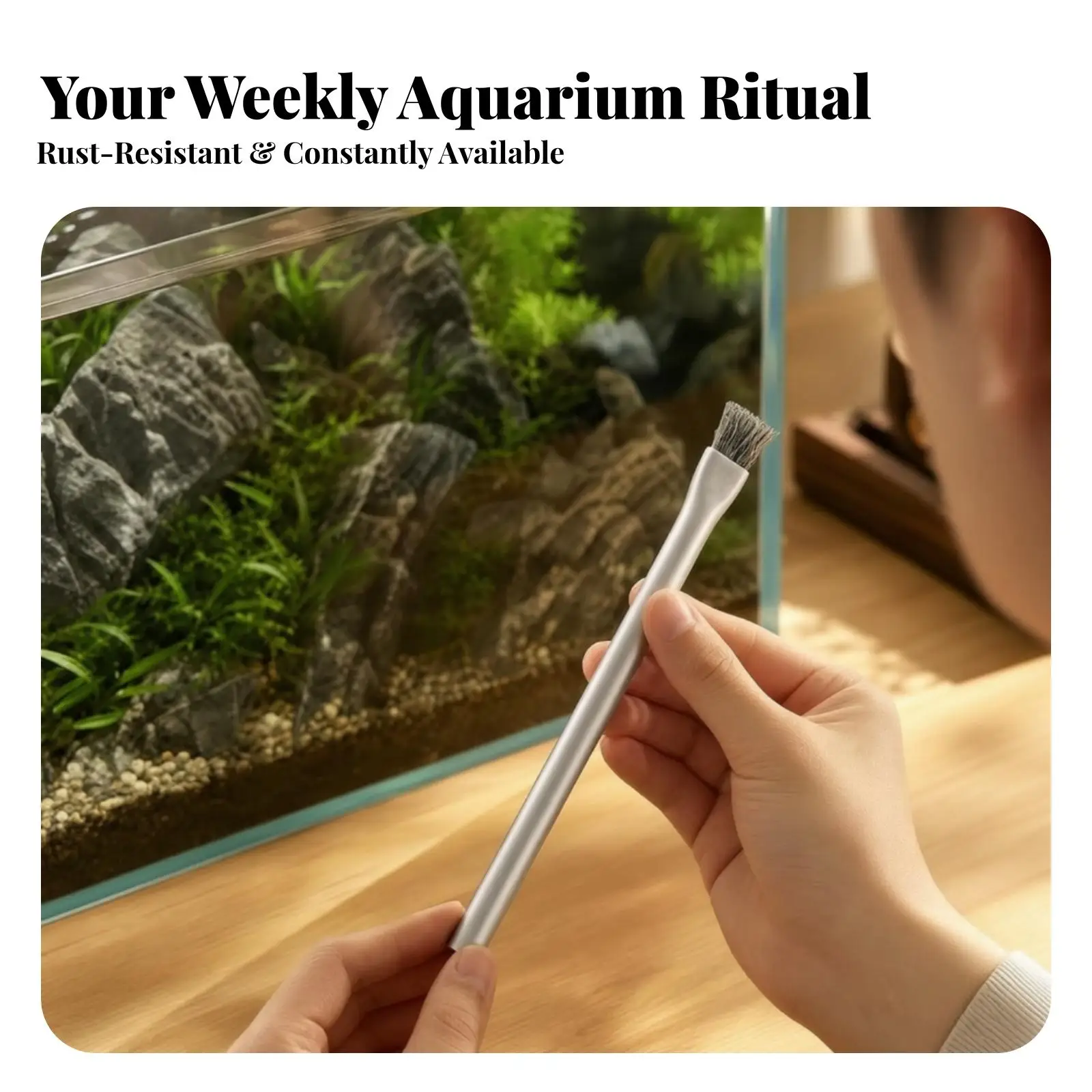 Hard Biofilm Cleaning Brush for Aquarium Rocks Driftwood Stainless Steel Wire Algae Scraper Fish Tank Aquatic Planted Garden