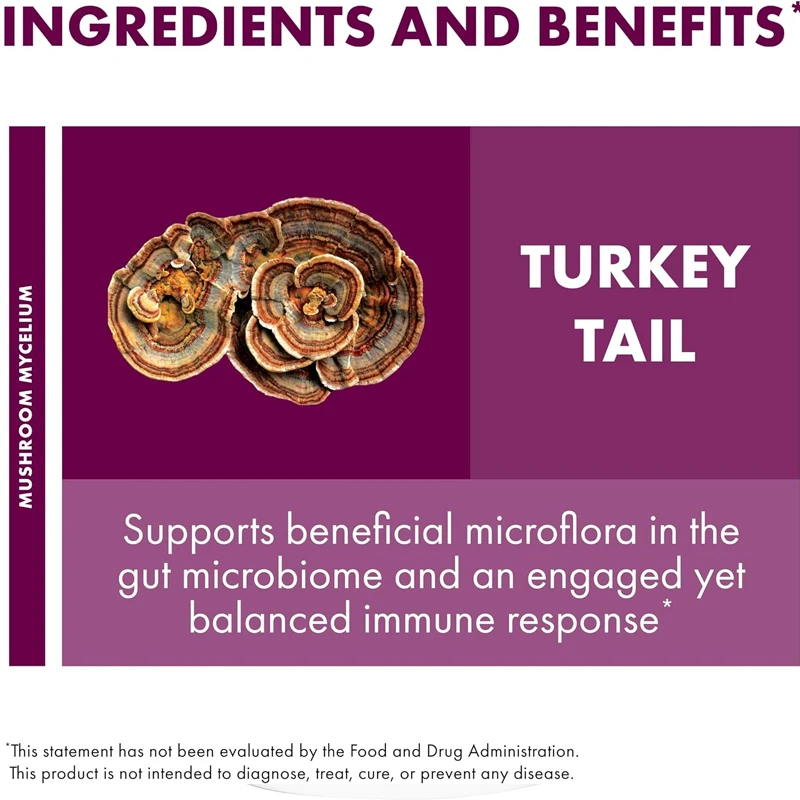 Turkey Tail Capsules, Natural Immune System and Digestive Support, Mushroom Supplement, Odorless, 60 capsules