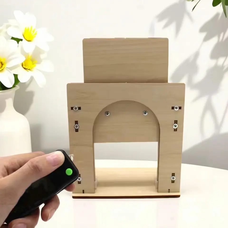 

Деревянная дверь лифта, набор для научных экспериментов, обучающая образовательная игрушка, посылка из физических материалов, детская развивающая креативная игрушка