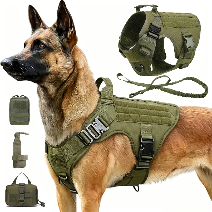 #49 Best Adjustable Pet Collars to Buy In 2026
