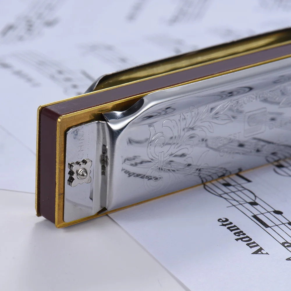 Suzuki Folkmaster Blues Mundharmonika Standardschlüssel von C A B E F G Schlüssel 10-Loch 20 Töne Diatonische Blues Gaita Mundharmonika für Anfänger – Detail 12