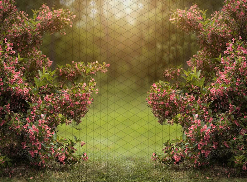 

Johnson Spring Happy Hedges Pink flower Bokeh backdrops High quality computer print scenic Photography Studio Backgrounds