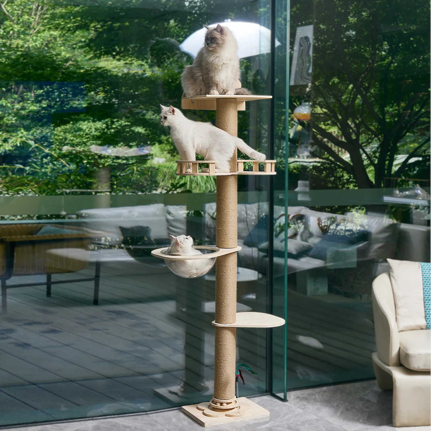  suction cup Standing cat climbing Tongtian pillar Space capsule Cat tree Cat scratching column