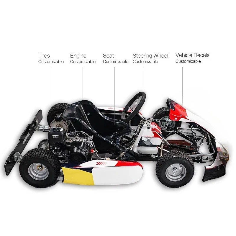 Trail Rider Off-Road Go Kart 4130 Chromoly Steel Frame 225cc  Gas Powered Buggy All Terrain Turf Tires Racing Cart