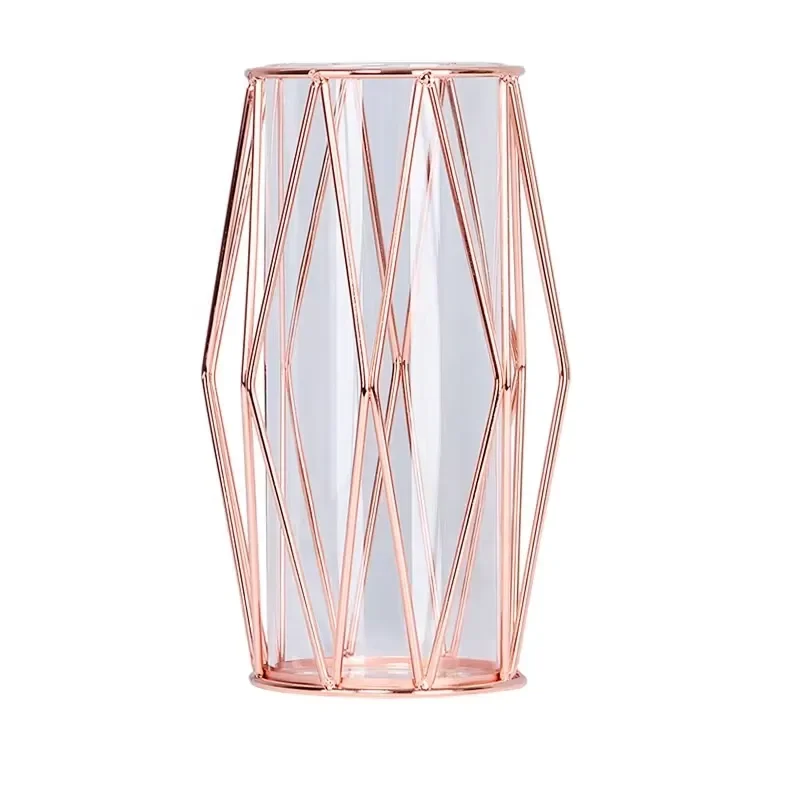 Modern Simple Rose Gold Wire Metal Transparent Glass Tube Decorative Iron Test Vase for Desktop