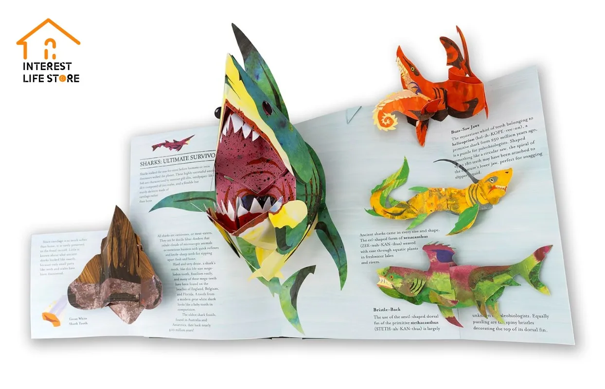 

New Hot Interesting 3D Encyclopedia Prehistorica Ocean Children Birthday Gifts for Birthday Guests Party Supplies Boy Study Book