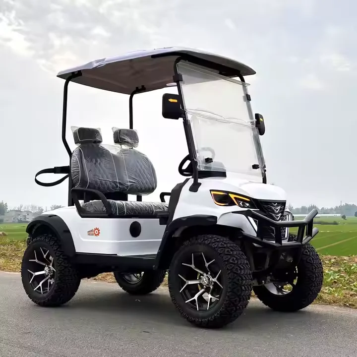 

60V Electric Best New Electric Lithium Powered Street Legal Hunting Golf Carts