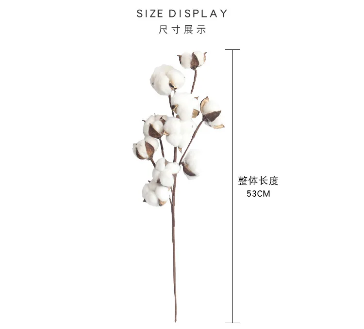 1pc Künstliche Pflanzen Natürlich Getrocknete Baumwolle Floral Zweig Vase Hochzeit Garten Party Diy Dekoration Gefälschte Blumen Hause Zimmer decor – Detail 13