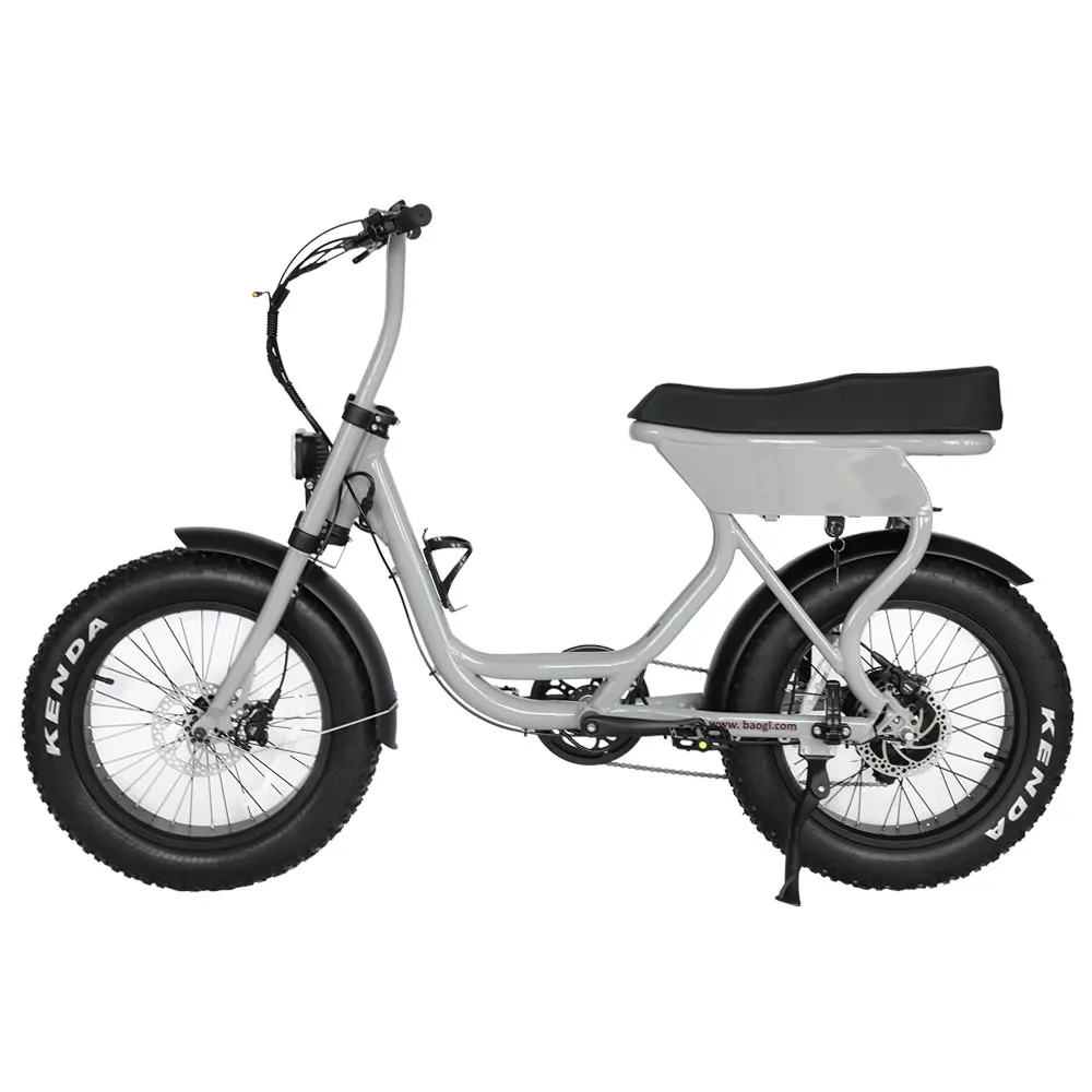 

Atv08 Fatbike Electric Hybrid Bike 48v250W Fatbike V20 Ebike 1000W