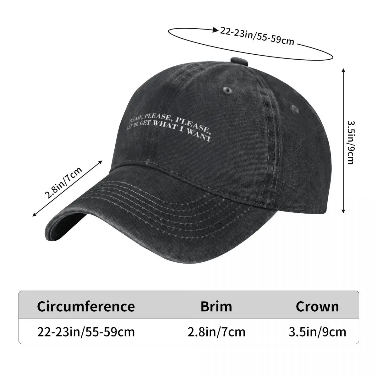 Please, Please, Please, Let Me Get What I Want Baseball Cap Big Size Hat Icon Hat Beach western Hat Caps Women Men's