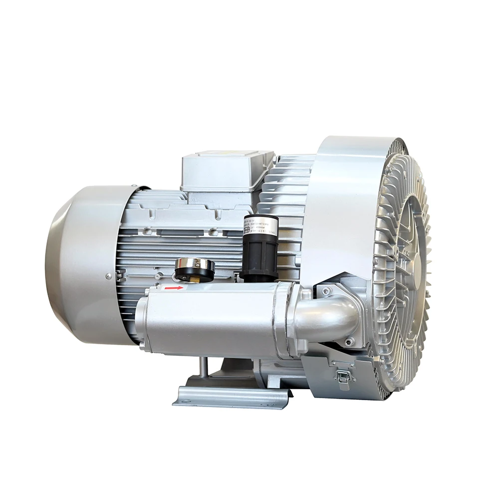 7.5KW 3-Phase Vacuum Pump Blower 380V  Vacuum Pump Blower Side Channel Ring Blowers For Fish Pond Oxygenation