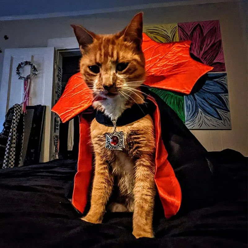 Halloween Pet Vampire Cloak Stand Collar Cat Dog Cloak Magic Witch Costume Party Dress Up