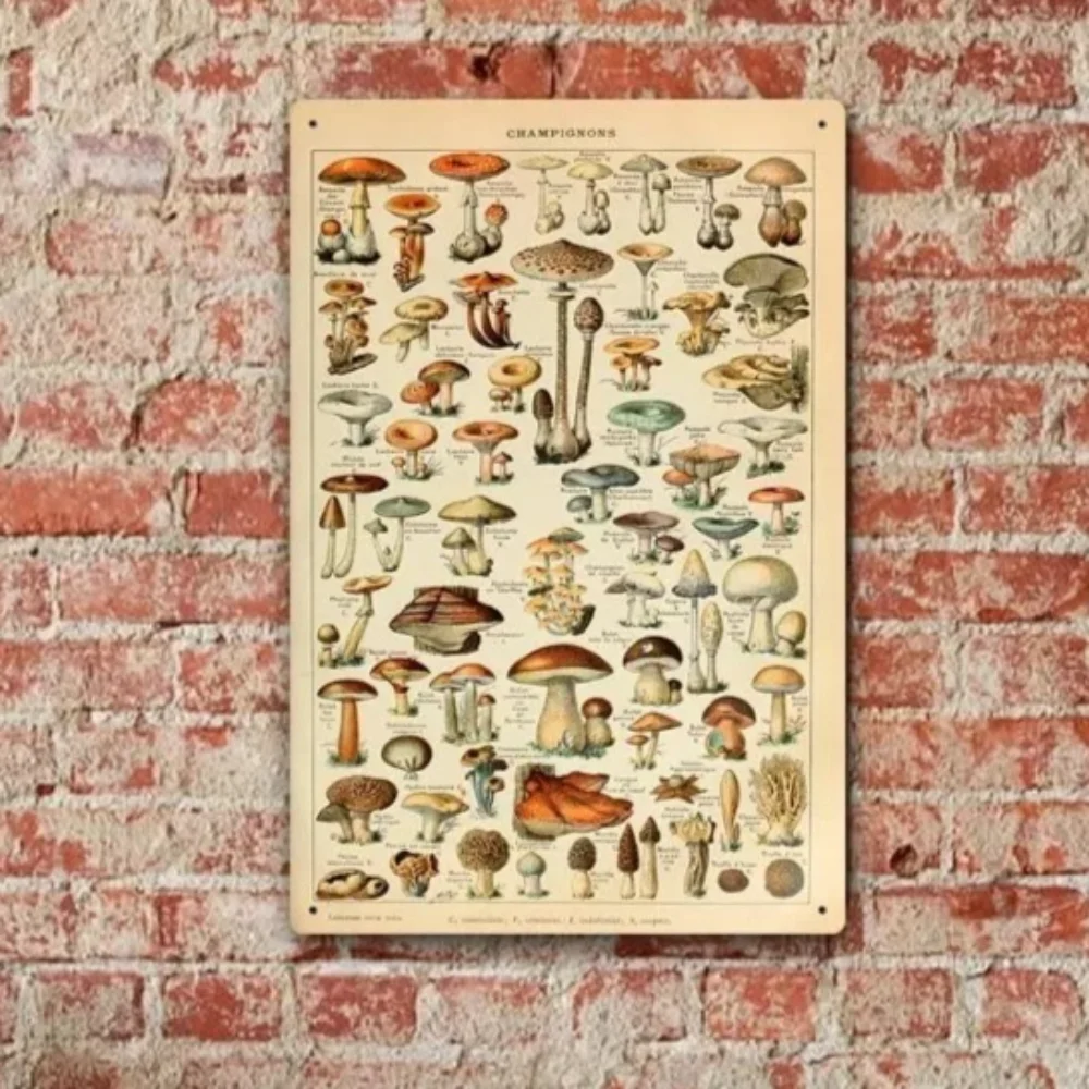 Adolphe Millot Mushrooms Aluminum Sign - Vintage Style - Different Species Identification - Ideal Decor for Any Indoor Space