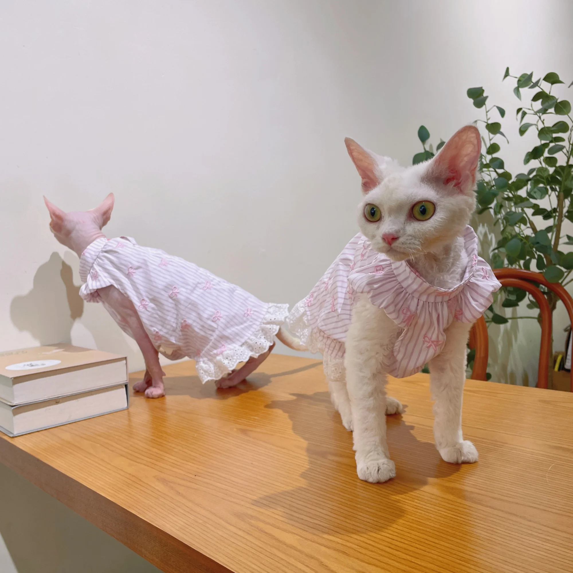 Clothing for Kittens in Summer Devon Rex Pink Lace Skirt with Bows Breathable Vest for Sphynx Cat Flying Sleeves T-shirt for Cat