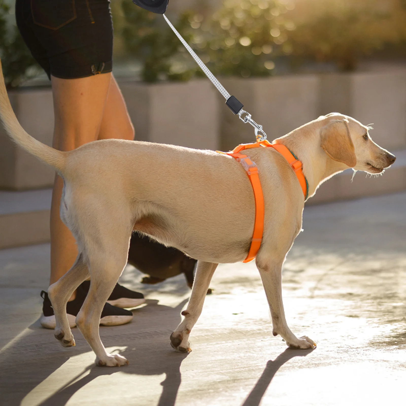 

Automatic Retractable Dog Leash Size L Black Durable Long Tape Pet Training Ergonomic Handle Big Hand Use