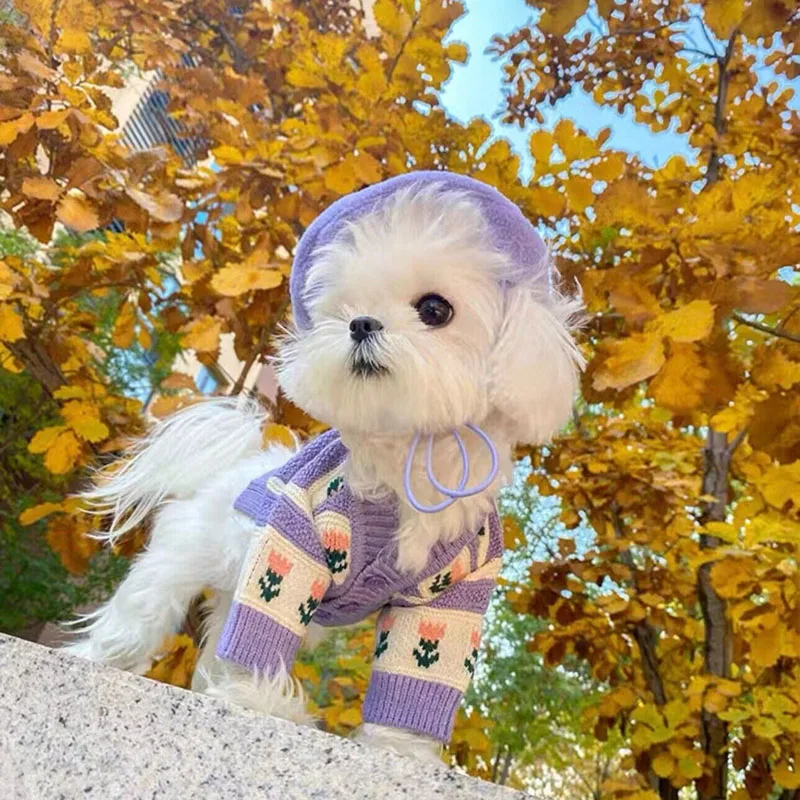 Pretty Flower Pet Sweater Winter Puppy Warm Clothes Bichon Frise Teddy Two Legs Clothes Maltese Soft Cardigan