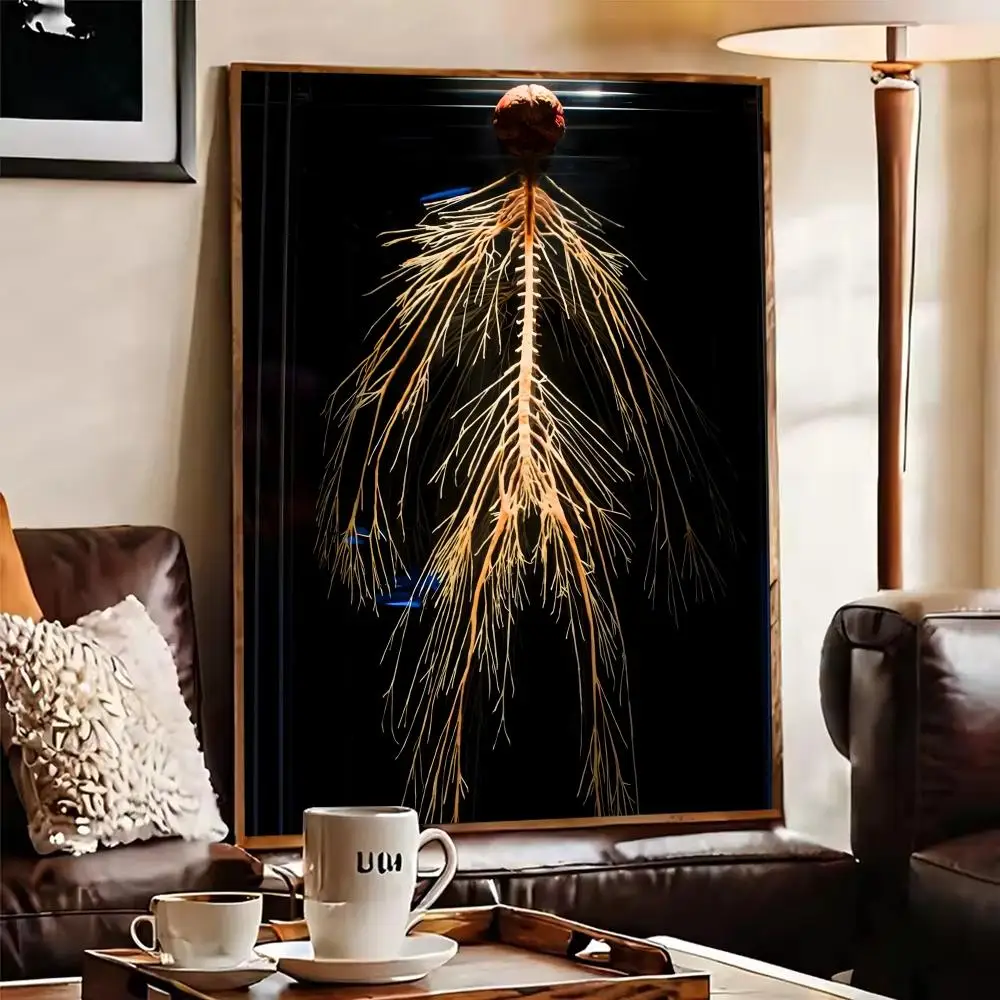 Human Nervous System Poster Wall Art Mural Photo Print Decorative Poster Sticker for Living Room Home Decor