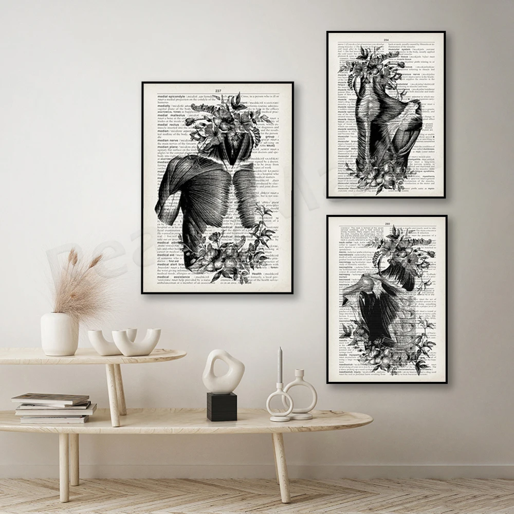 Antique Muscle Anatomy Art, Muscle System Physiology Art Massage Poster, Medical Art Physical Therapy Surgeon Office Gift