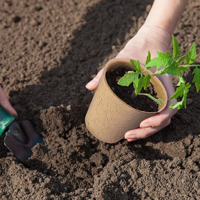 100Pcs Pulp Seedling Pot, Seed Germination Pot, Degradable Seedling Pot, Cultivation Flower Pot Garden Planting Tools view 3