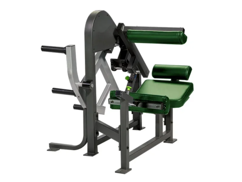 

Hot Selling Professional Gym Fitness Equipment Back Muscle Training Back Extension