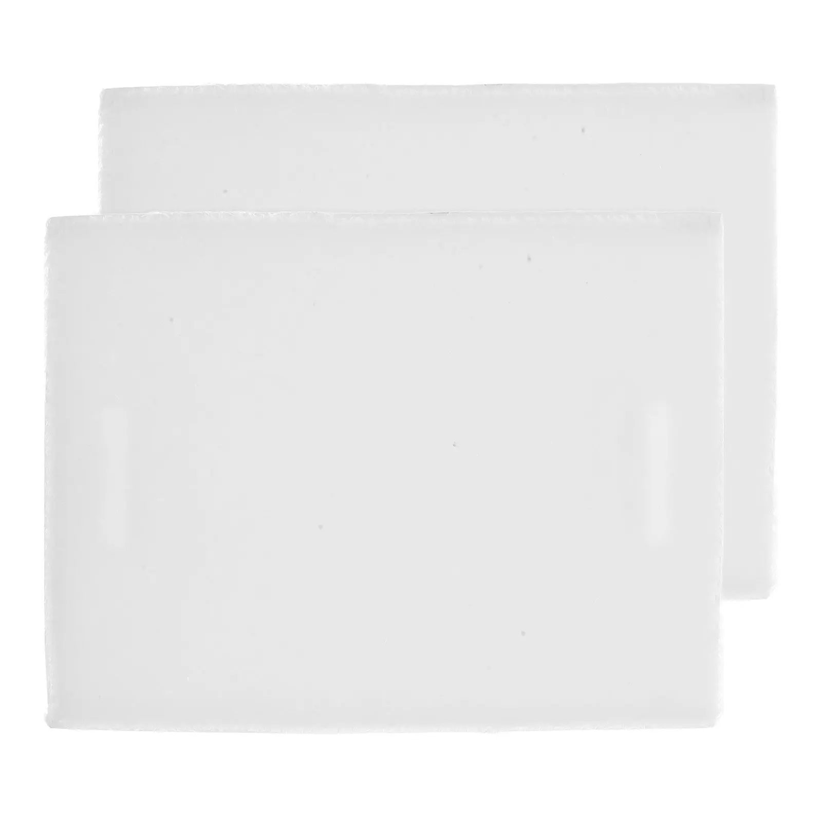 2Pcs Paint Edger Replacement Pads Plastic Flexible Replacement Pads for Edge Painting Wall Door Window Trim Painting Tool